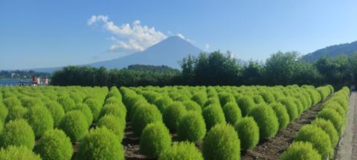 Japan