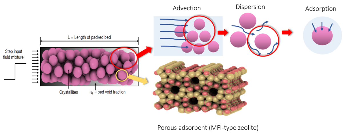 RUPTURA graphical abstract