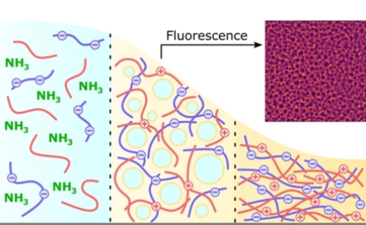 Screenshot 16 2 2026 14426 pubs acs org