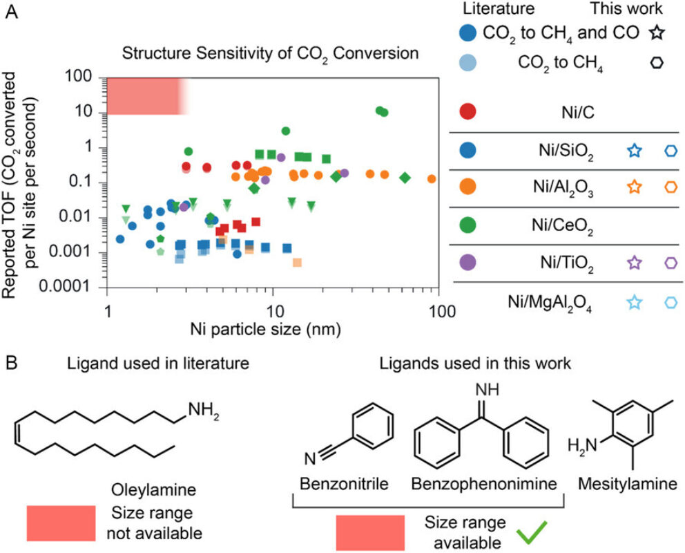 Adsc70376 fig 0001 m Bram