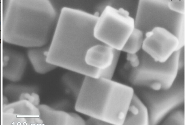 Screenshot 11 12 2025 153113 onlinelibrary wiley com