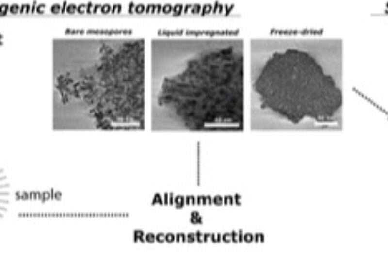 Screenshot 15 1 2026 123948 chemistry europe onlinelibrary wiley com
