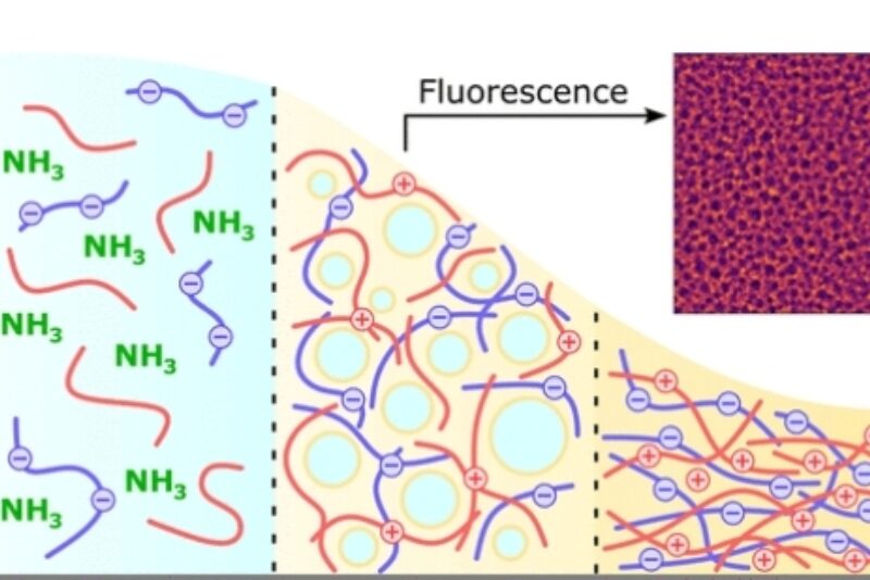 Screenshot 16 2 2026 14426 pubs acs org