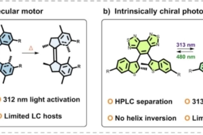 Screenshot 20 11 2025 154845 advanced onlinelibrary wiley com