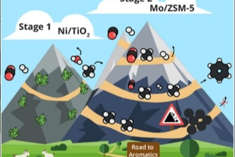 Screenshot 4 11 2025 134322 onlinelibrary wiley com