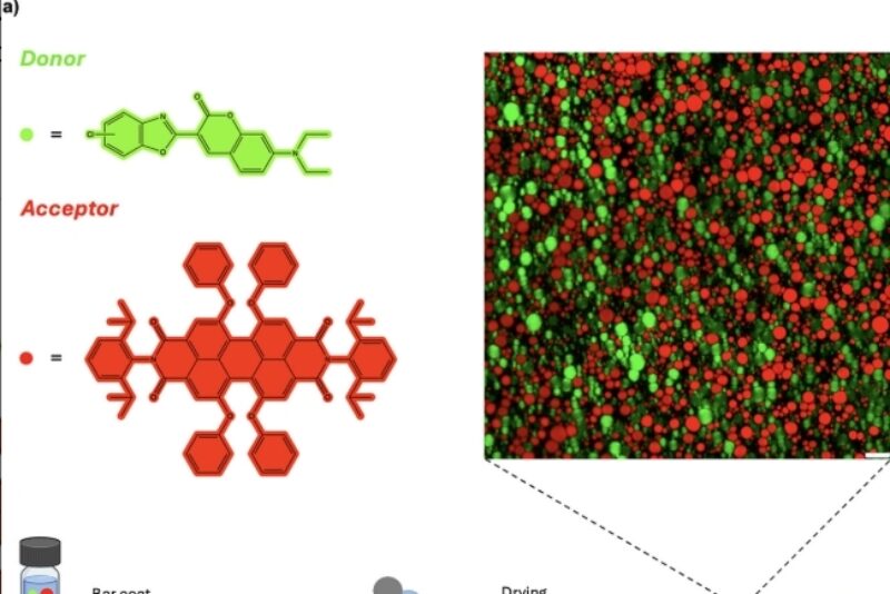 Screenshot 5 1 2026 143037 advanced onlinelibrary wiley com