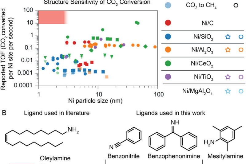 Adsc70376 fig 0001 m Bram