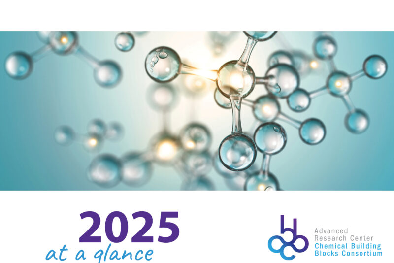 Year Report 2025