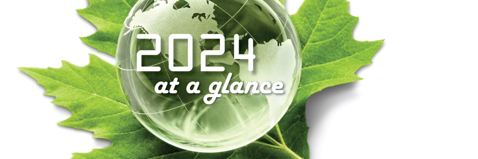 Cover jaarverslag 2024 small