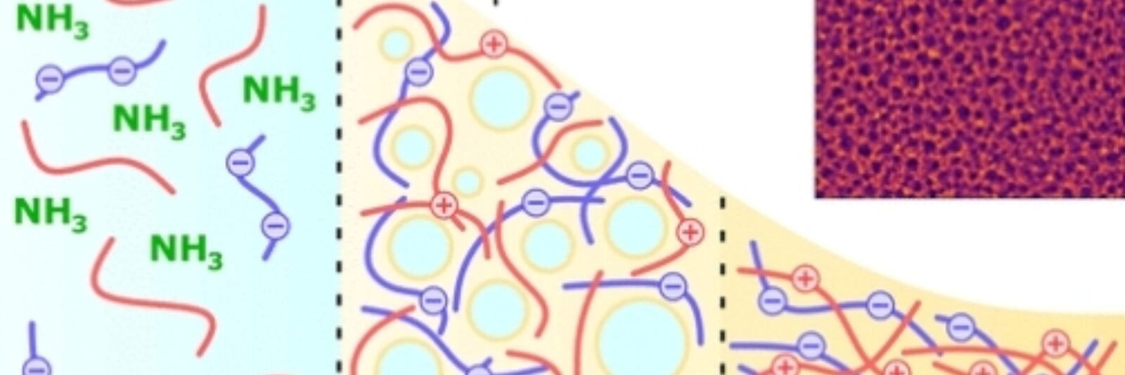 Screenshot 16 2 2026 14426 pubs acs org