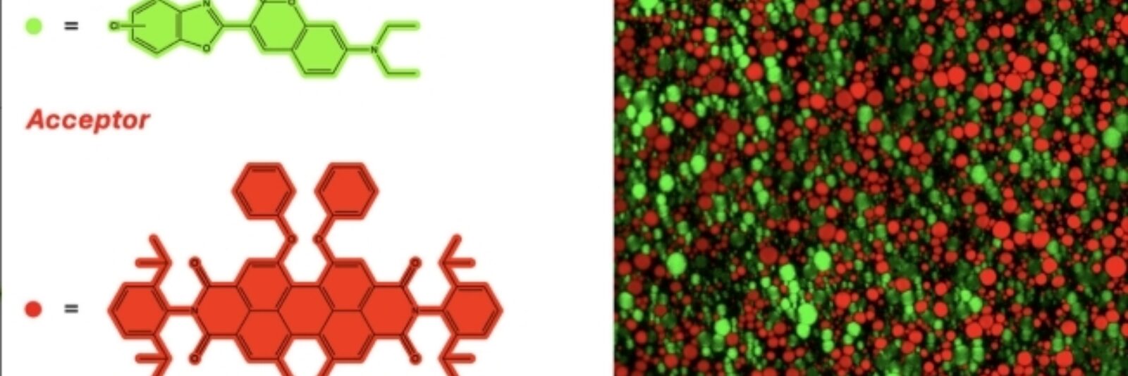 Screenshot 5 1 2026 143037 advanced onlinelibrary wiley com