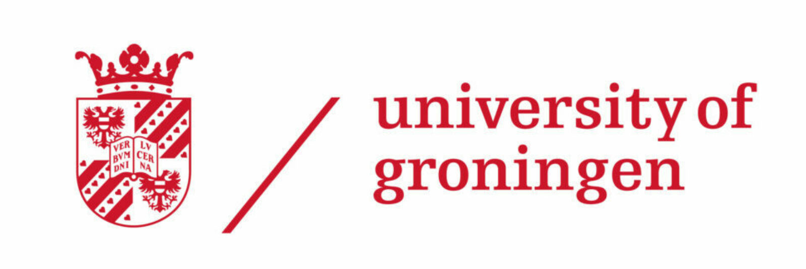 Logo groningen voor vacature2 960x480